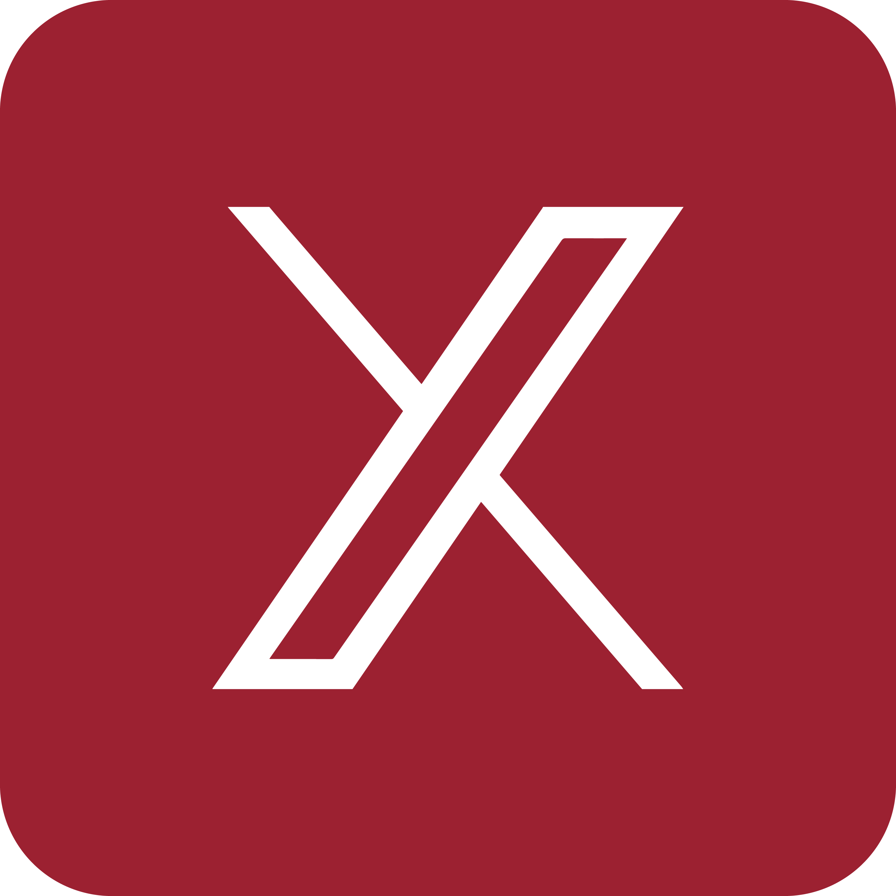 x icon maroon